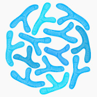Probiotic Blend